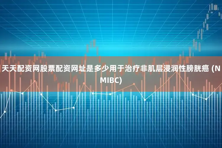 天天配资网股票配资网址是多少用于治疗非肌层浸润性膀胱癌 (NMIBC)